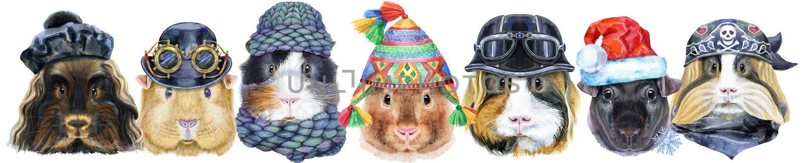 Large guinea pigs border set, pet portrait by NataOmsk