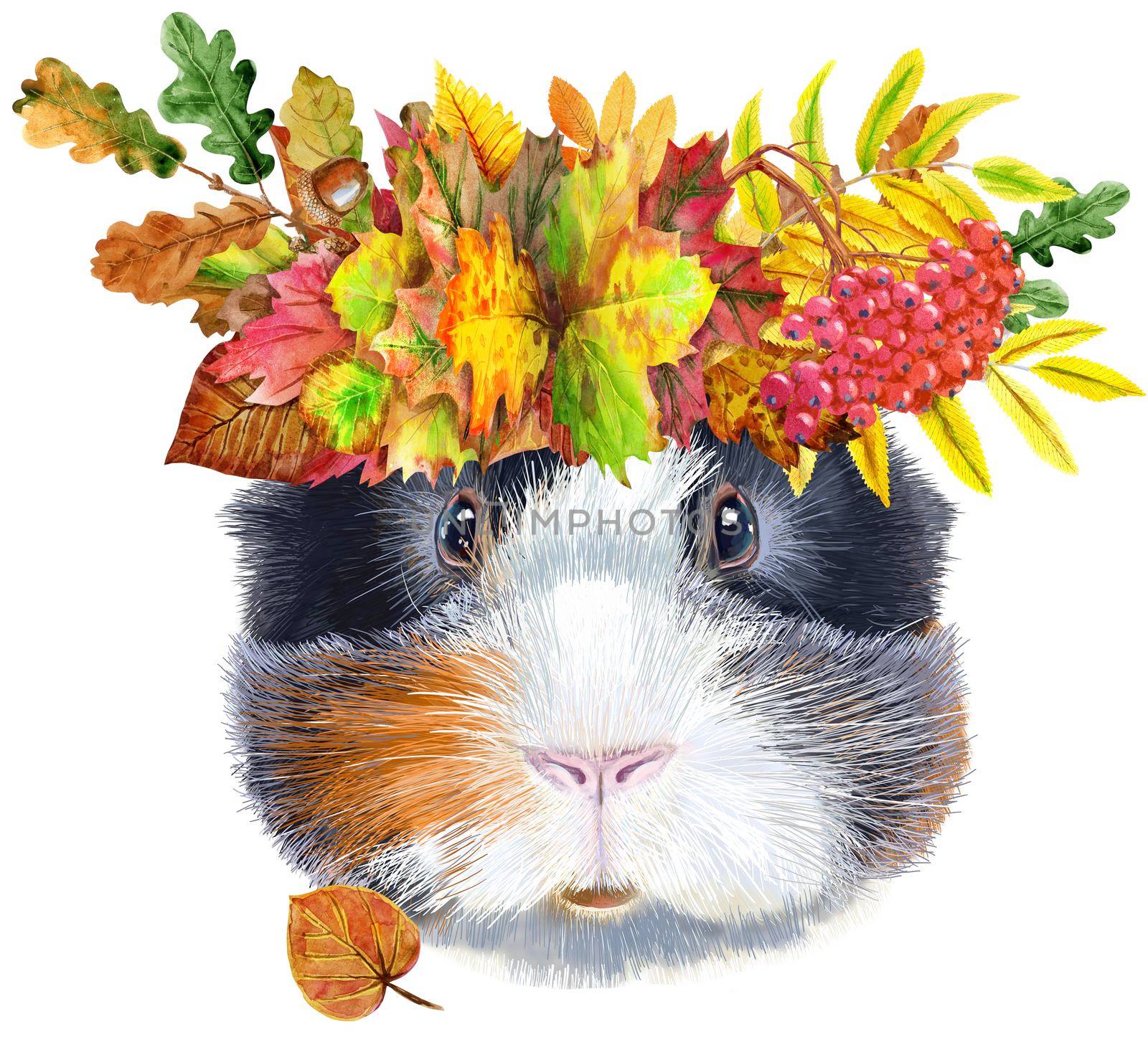 Watercolor portrait of abyssinian guinea pig with wreath of leaves on white background by NataOmsk