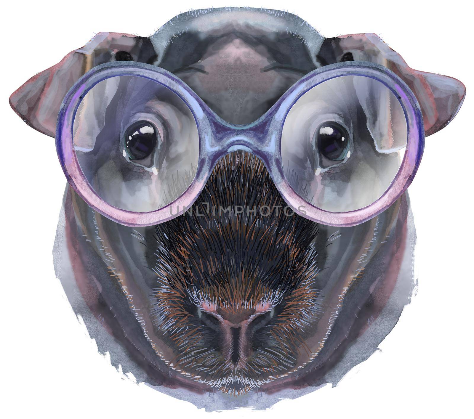 Watercolor portrait of Skinny Guinea Pig in cute glasses on white background by NataOmsk