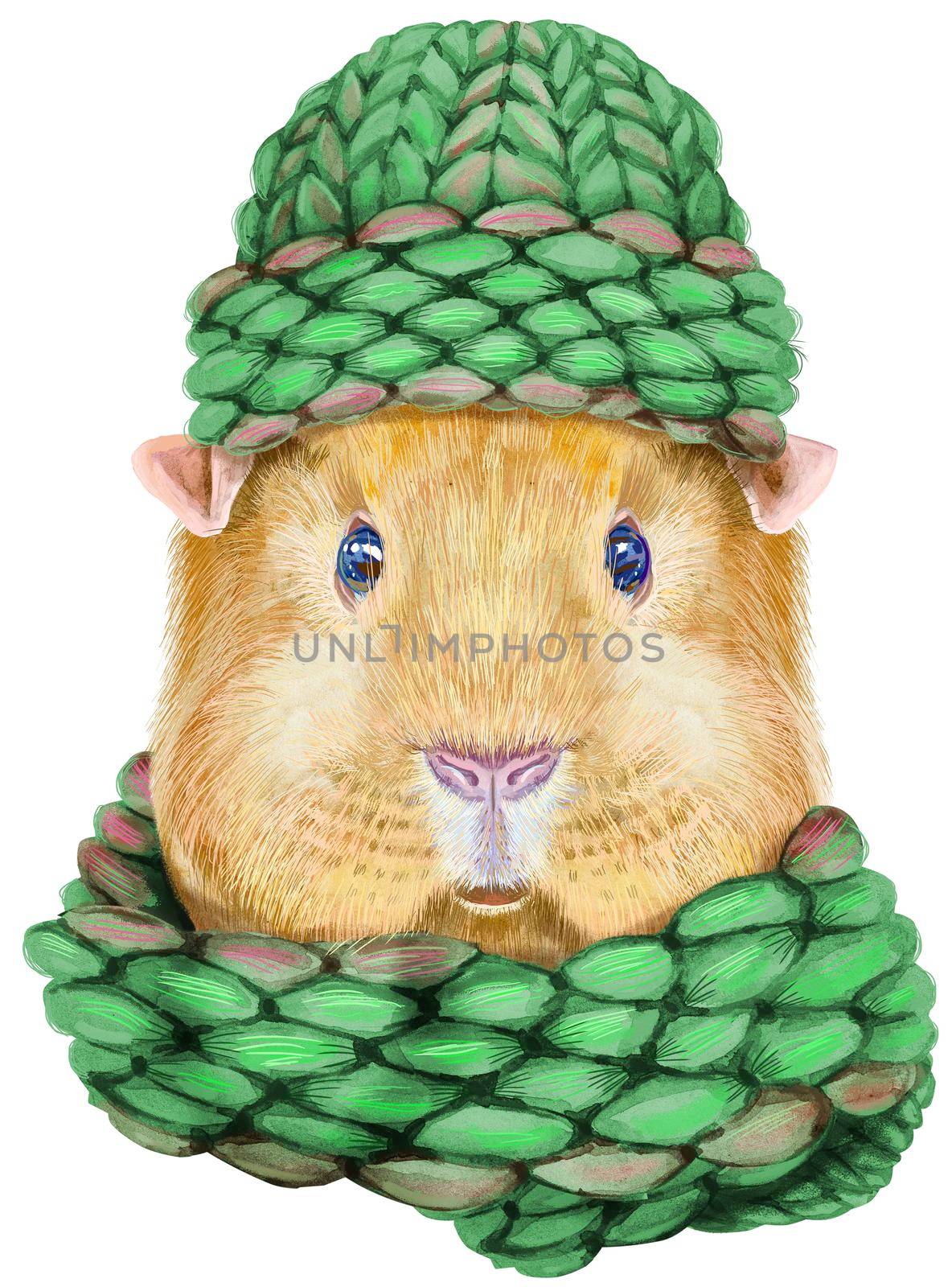 Guinea pig pig in a green knitted hat and scarf. Pig for T-shirt graphics. Watercolor Self guinea pig illustration