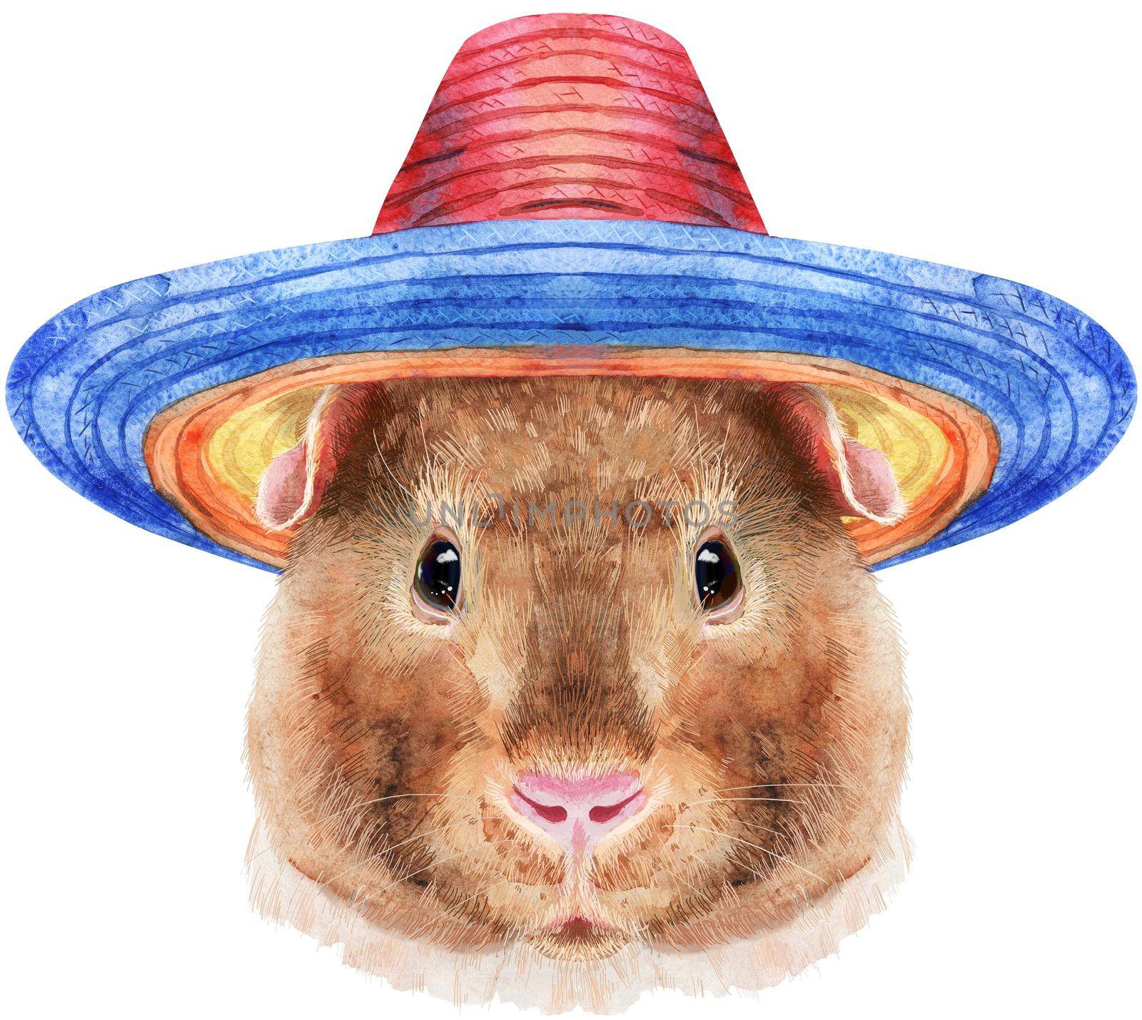 Guinea pig in sombrero. Pig for T-shirt graphics. Watercolor Teddy guinea pig illustration