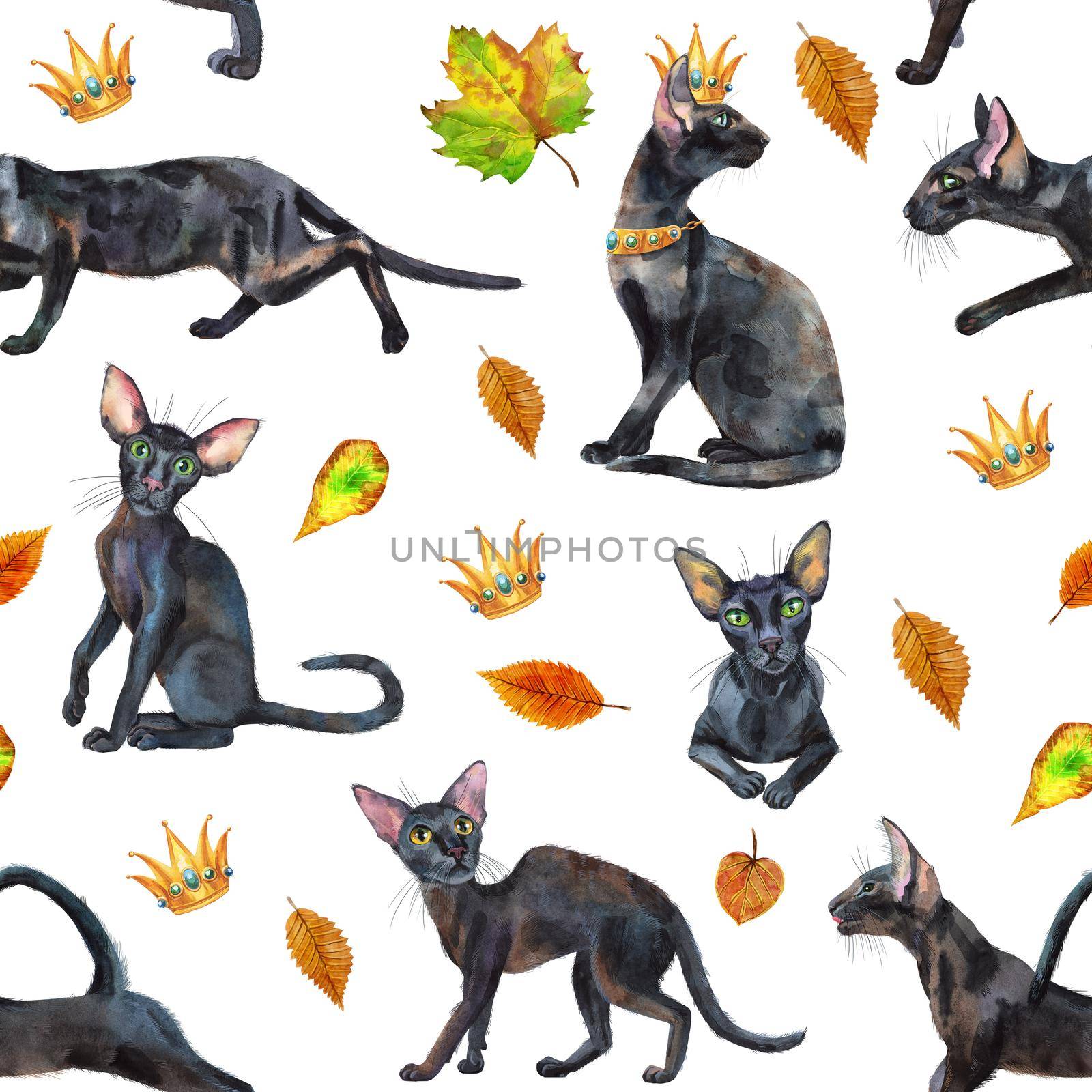 Seamless pattern of oriental black cats. Painting animal illustration by NataOmsk