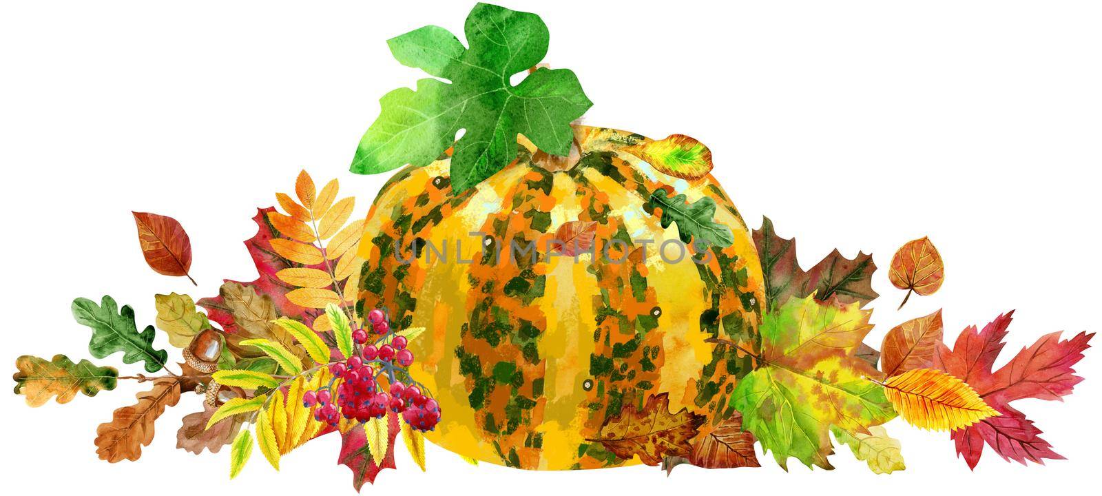 Fall leaves with pumpkins on white background, fall harvest