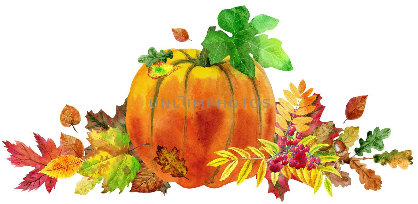 Fall leaves with pumpkin on white background, fall harvest