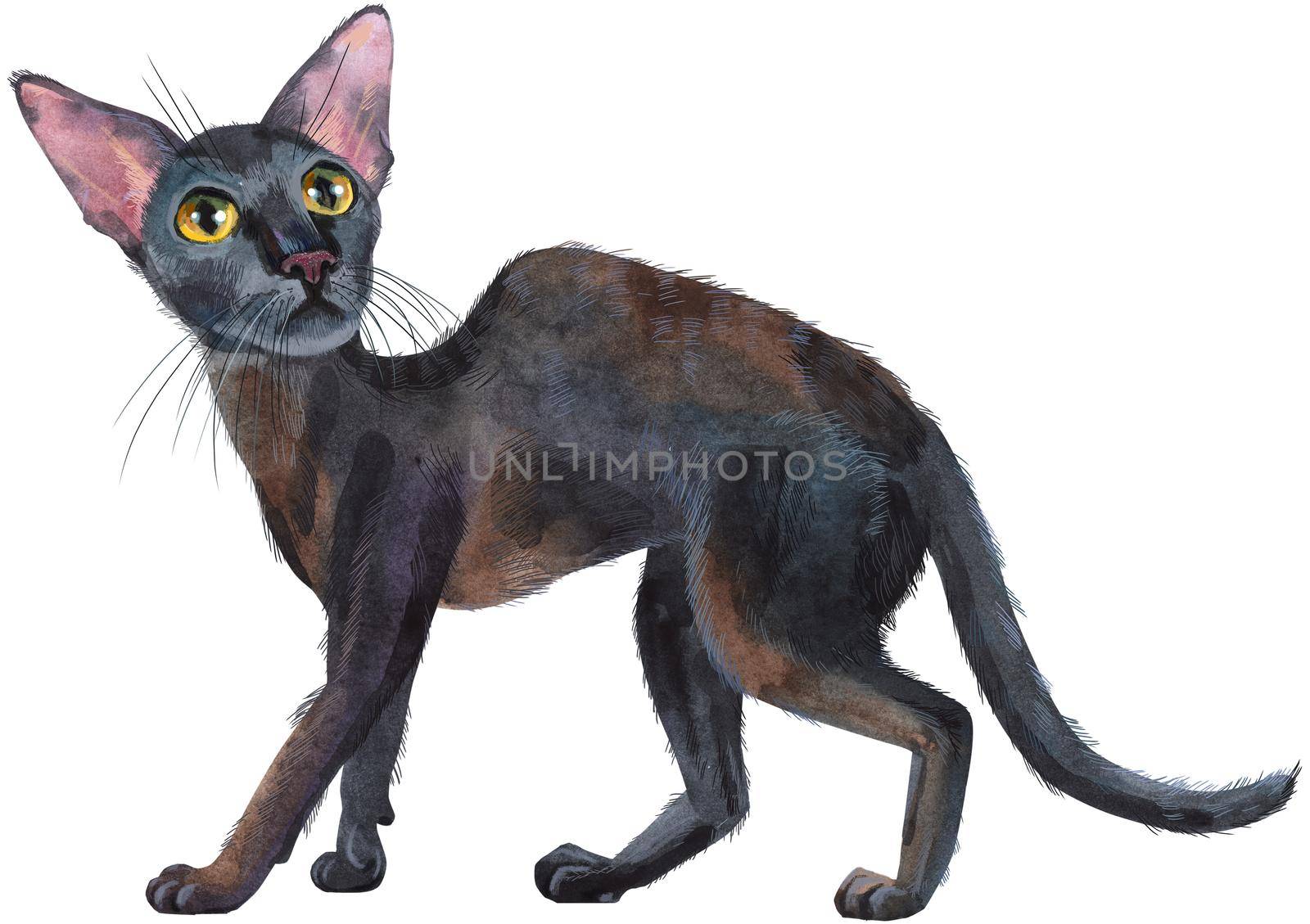 Watercolor oriental black cat. Painting animal illustration by NataOmsk