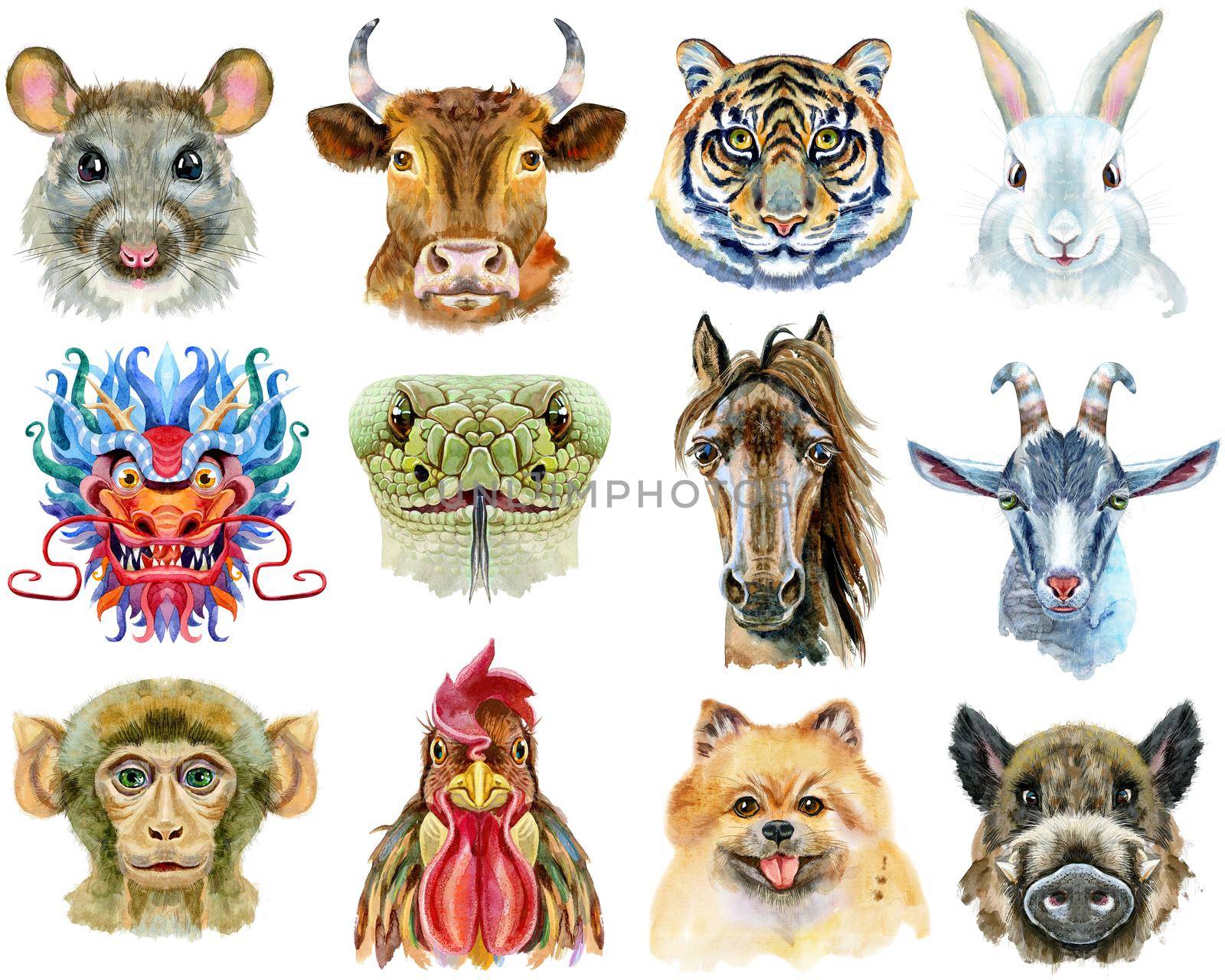 Colorful astrology set with drawings of twelve chinese zodiac animals isolated on white. Watercolor holiday collection of new year calendar and horoscope symbols.