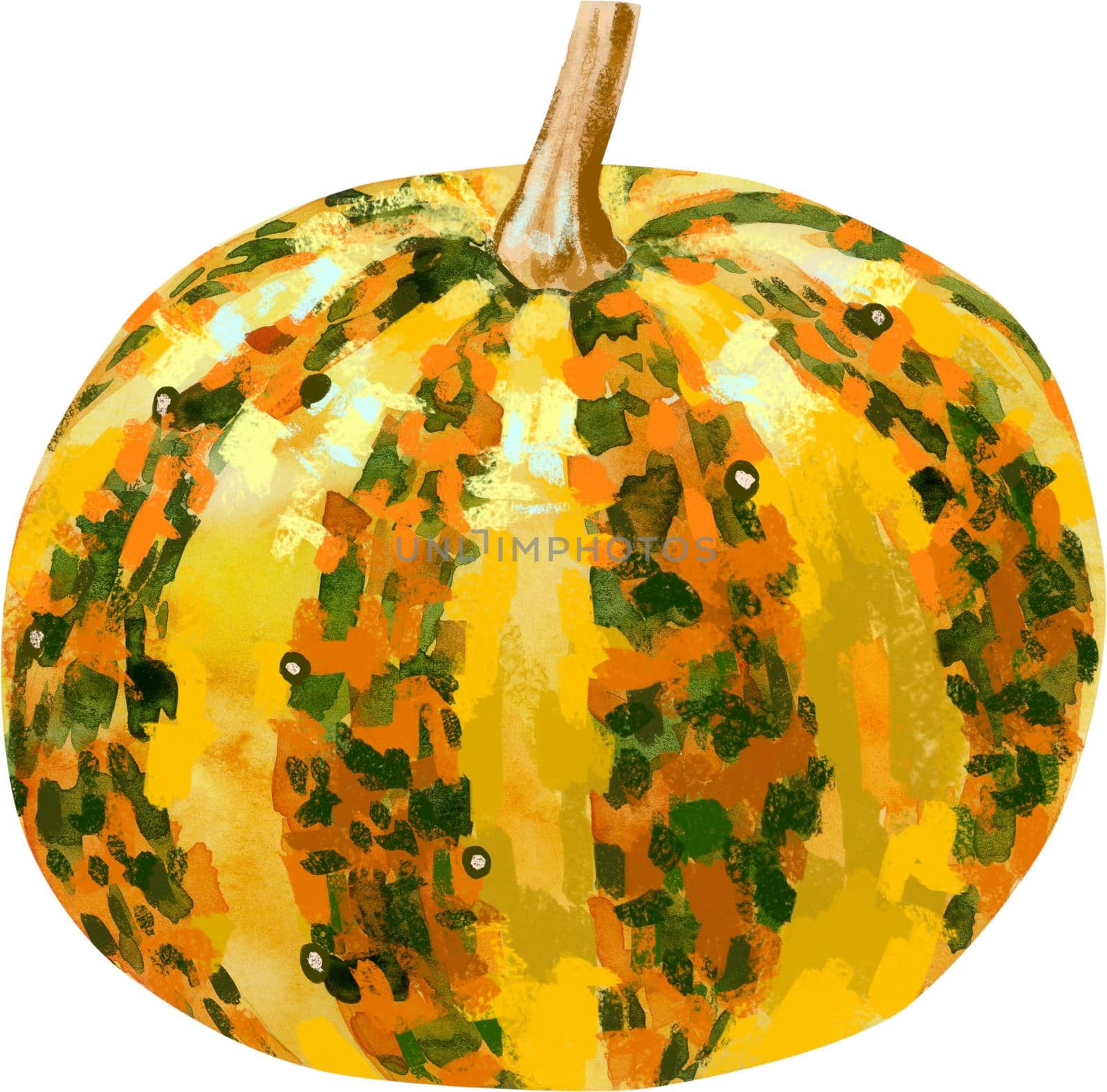 Watercolor handraw illustration orange autumn ripe pumpkin