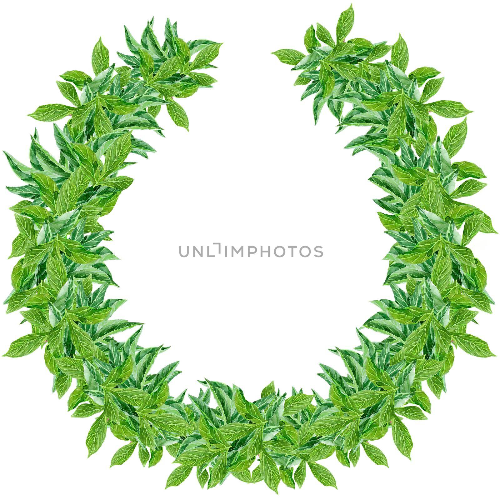 Lush luxury wreath of greenery with small leaves by NataOmsk