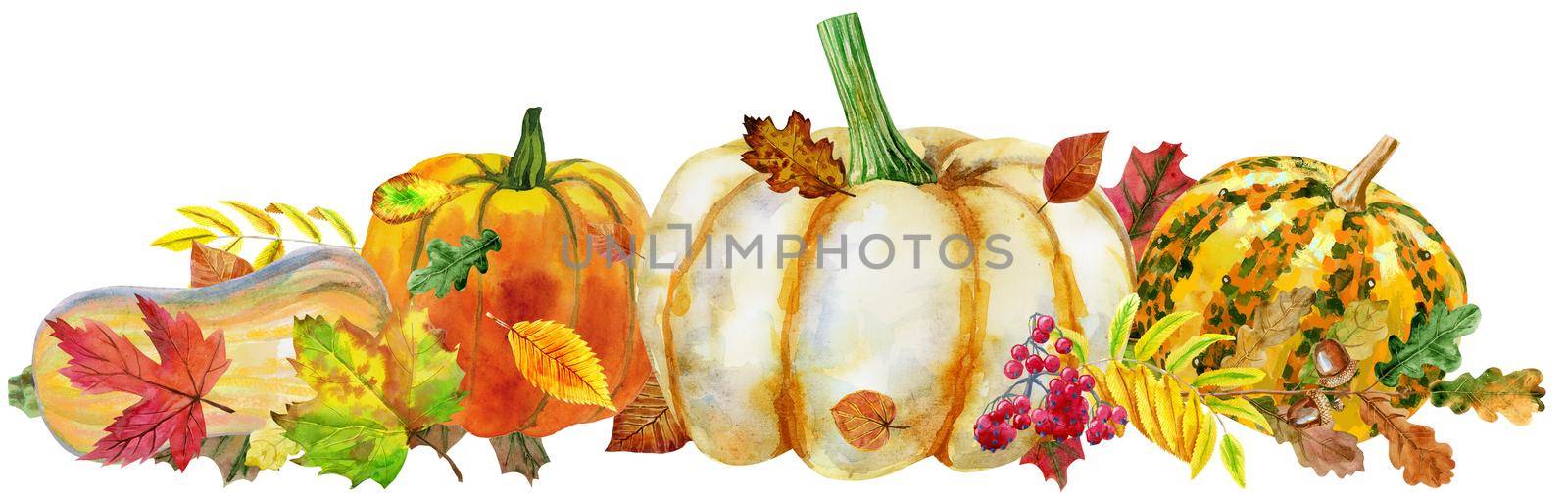 Horizontal composition of pumpkins and autumn leaves by NataOmsk