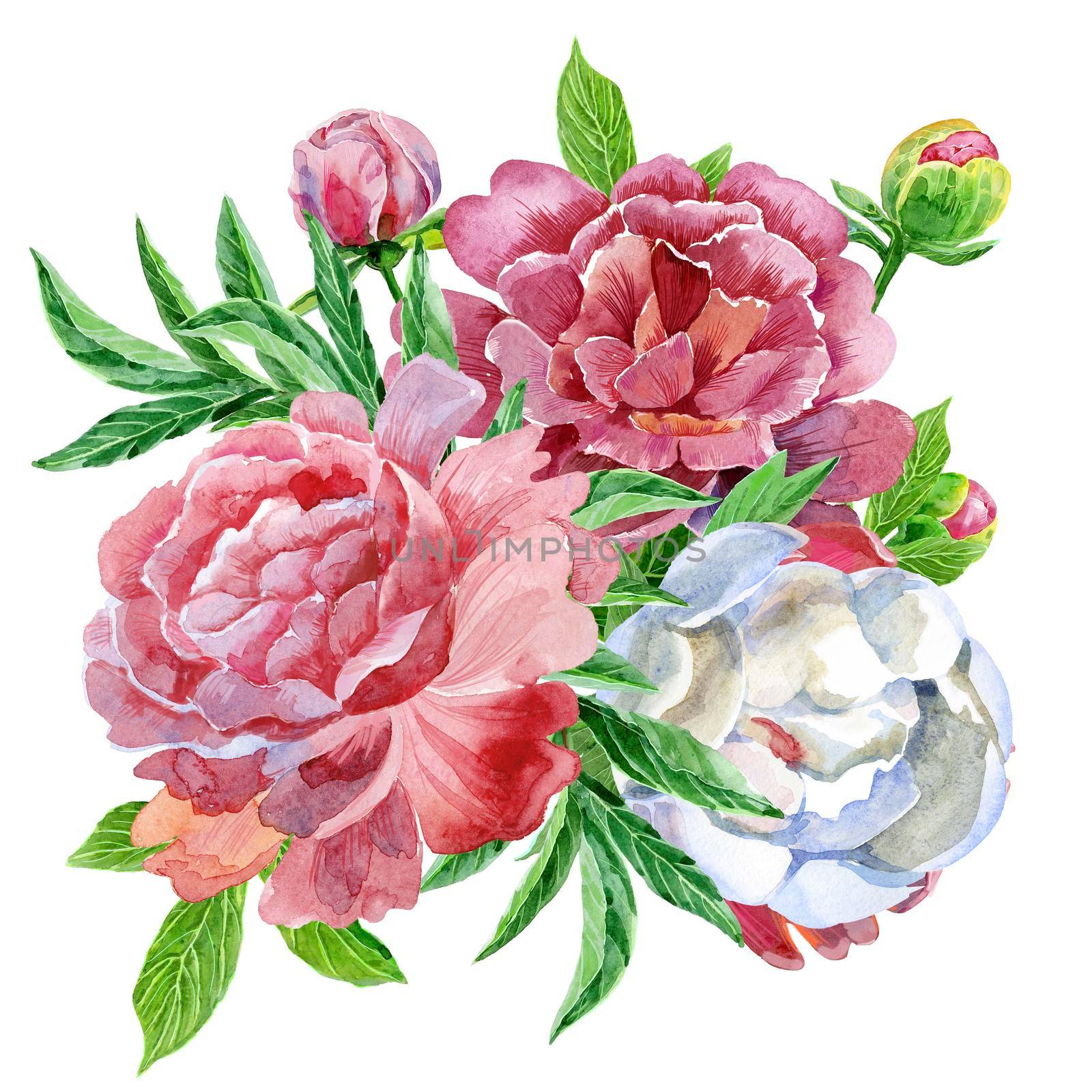 Watercolor bouquet of peonies by NataOmsk