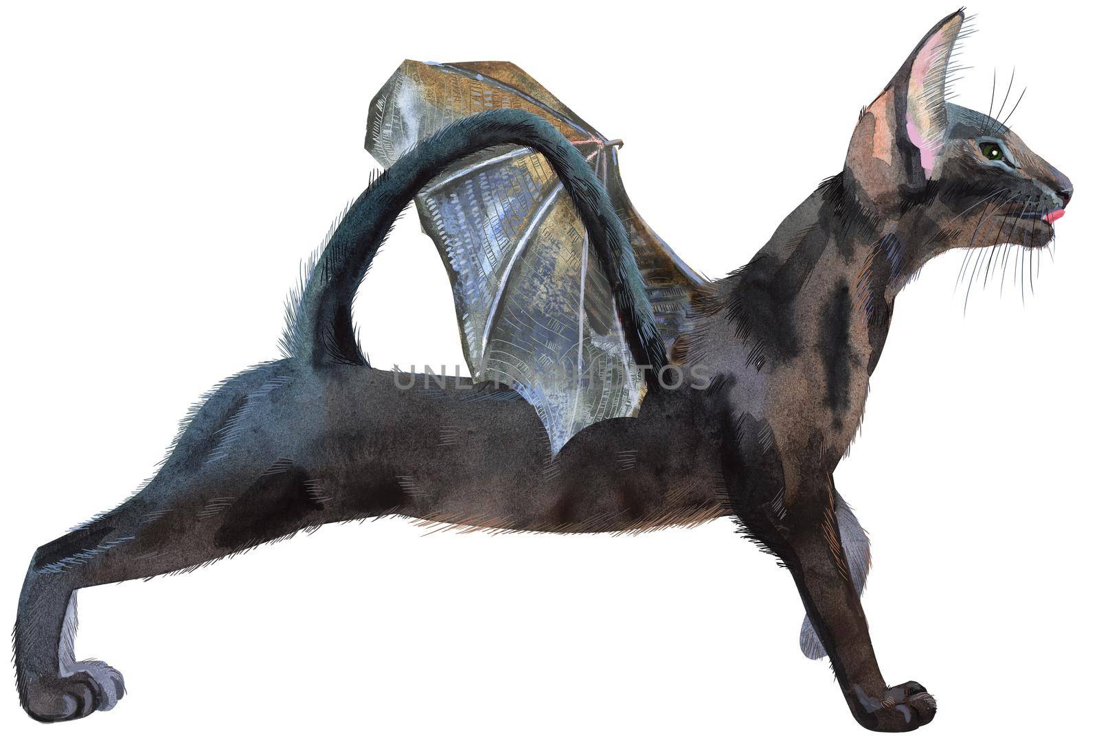 Watercolor oriental black cat with bat wings. Painting animal illustration by NataOmsk