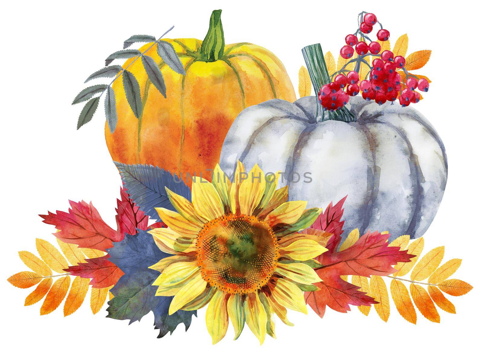 Fall leaves with pumpkin on white background, fall harvest