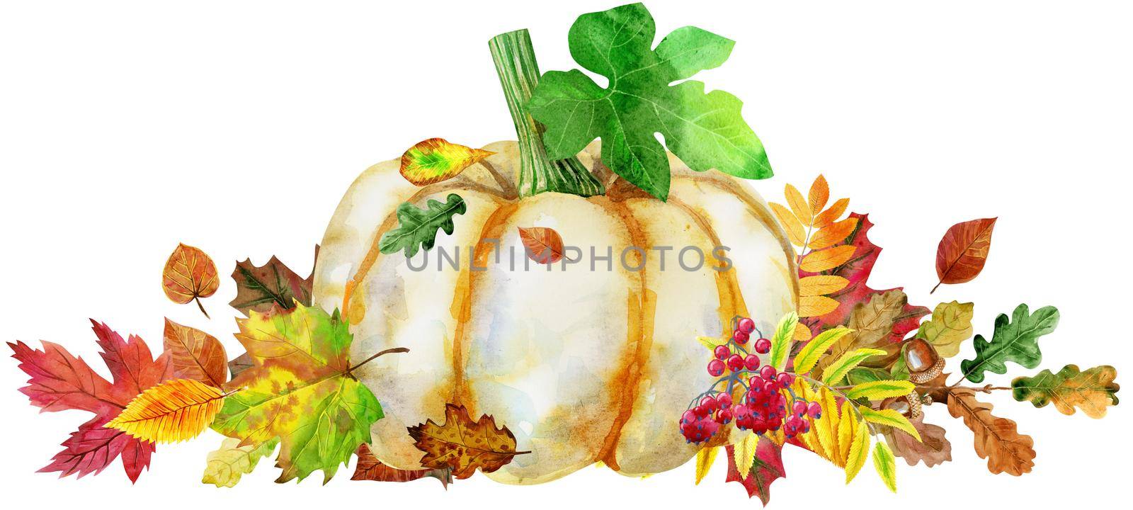 Fall leaves with pumpkin on white background, fall harvest
