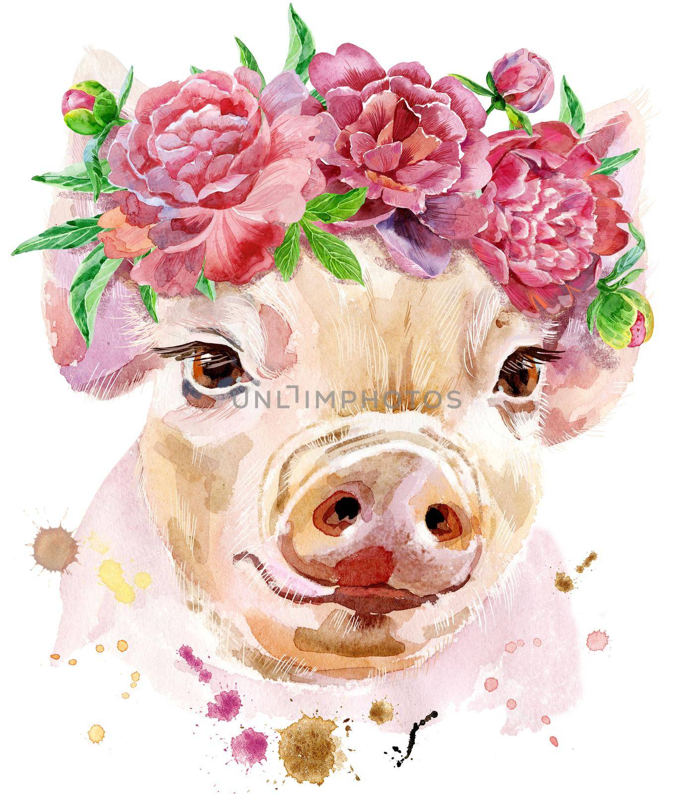 A beautiful pig in a wreath of peonies. Flowers. Watercolor illustration with splashes.