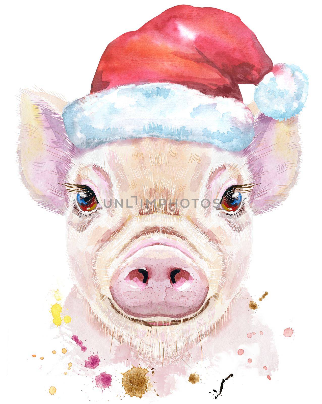 Watercolor portrait of mini pig in a Santa hat by NataOmsk