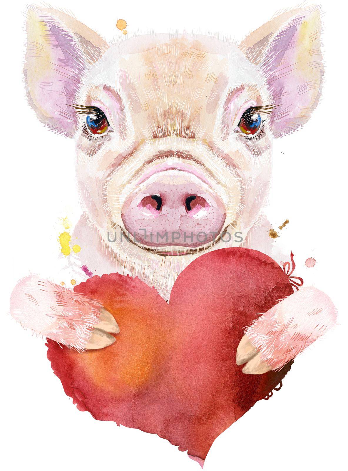 Cute piggy. Pig for T-shirt graphics. Watercolor pink mini pig with red heart illustration