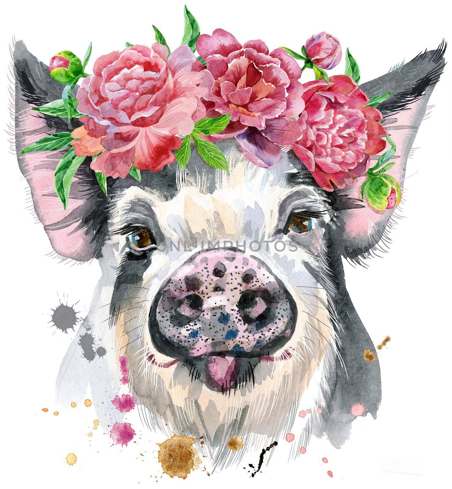 A beautiful pig in black spots in a wreath of peonies. Flowers. Watercolor illustration with splashes.