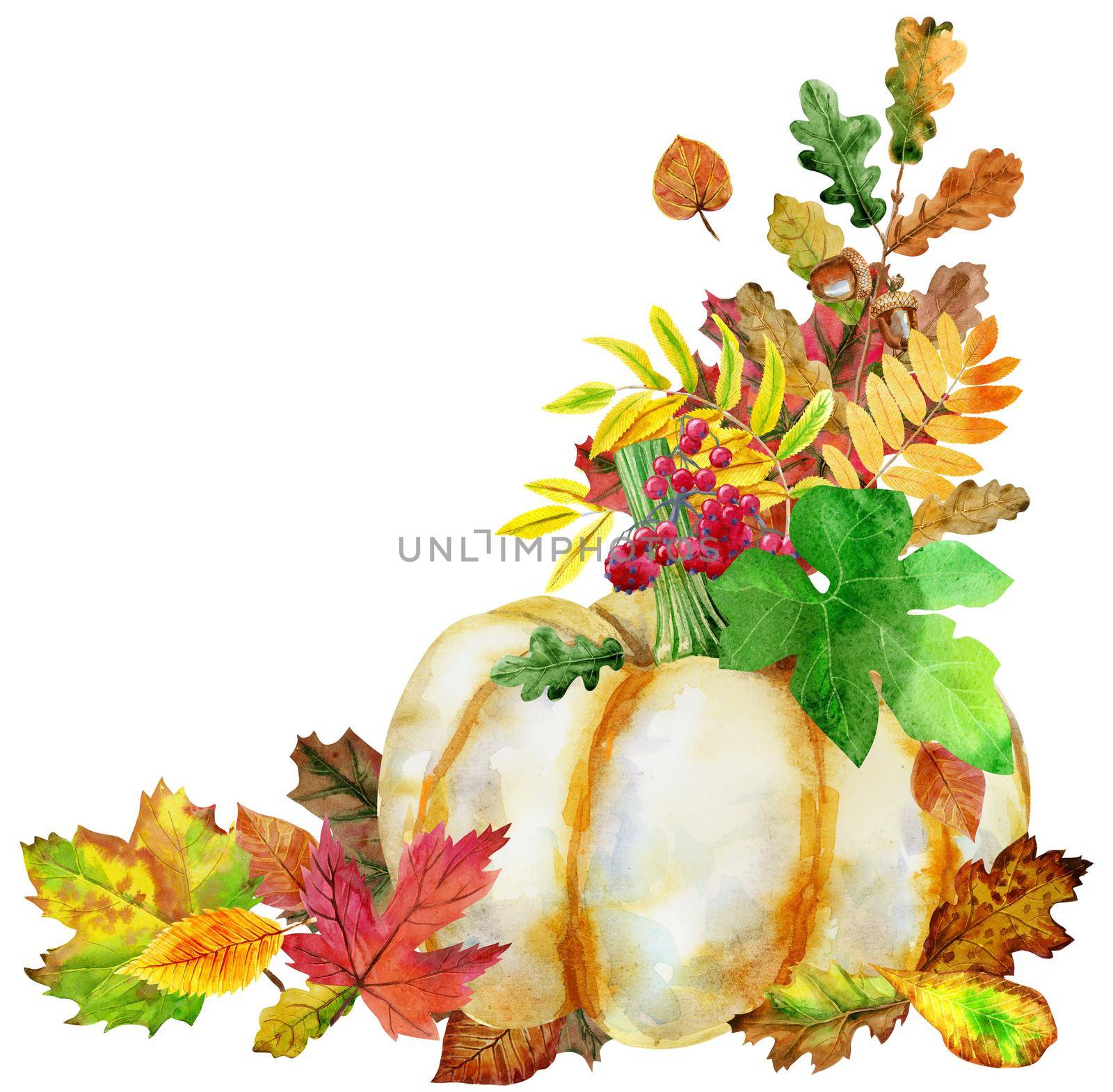 Fall leaves with pumpkin on white background, fall harvest