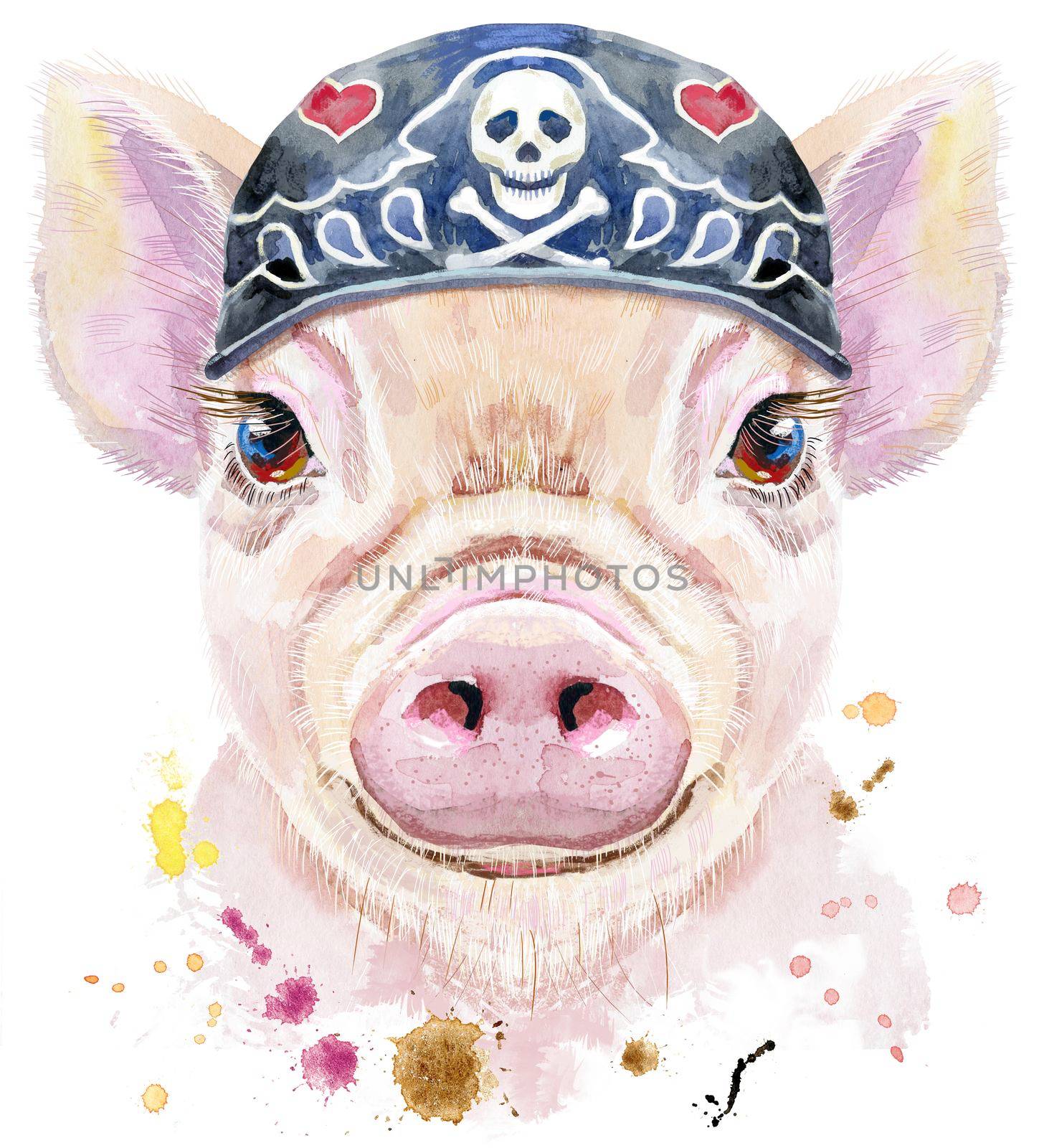 Cute piggy wearing biker bandana. Pig for T-shirt graphics. Watercolor pink mini pig illustration
