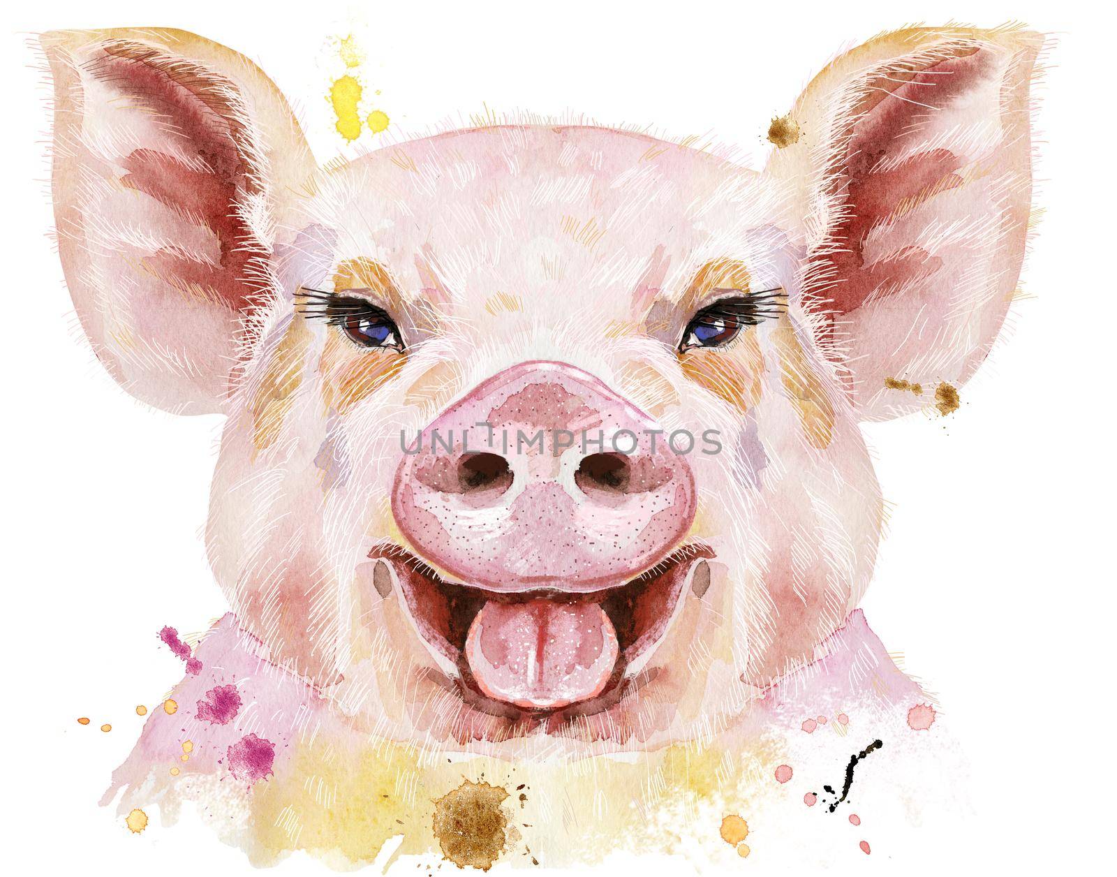 Watercolor portrait of pig with the inscription New Year by NataOmsk