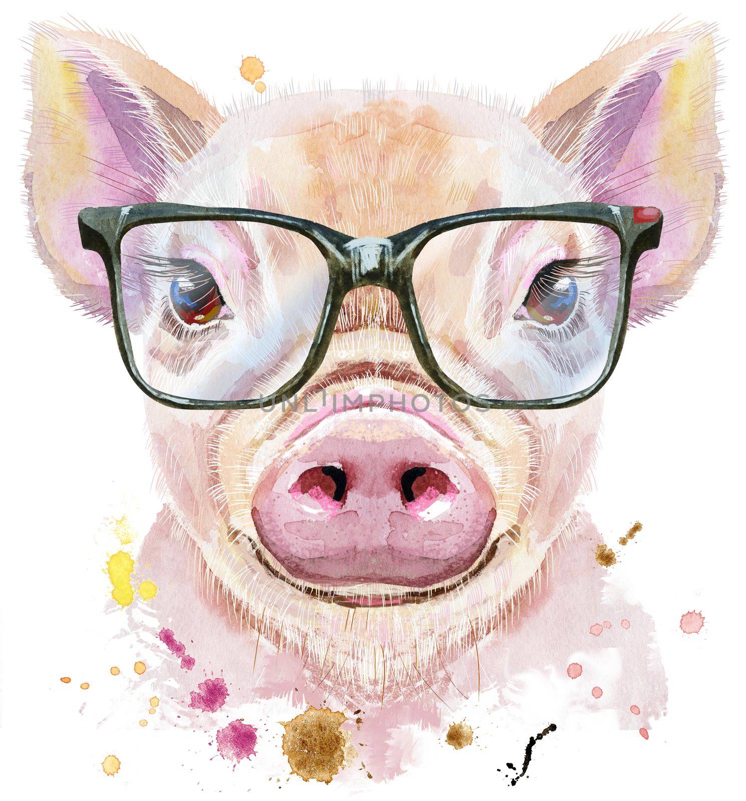 Cute piggy with glasses. Pig for T-shirt graphics. Watercolor pink mini pig illustration