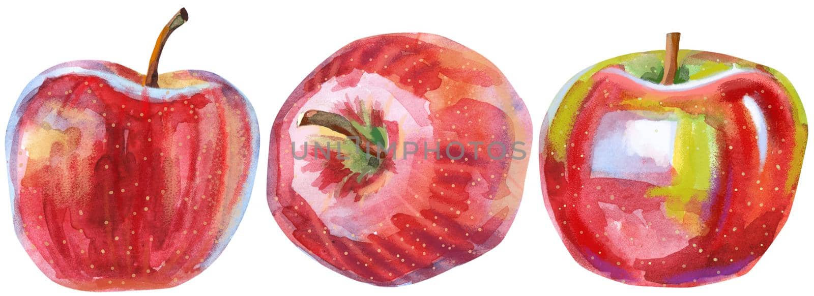 Set of botanical watercolor illustration of red ripe apples isolated on a white background
