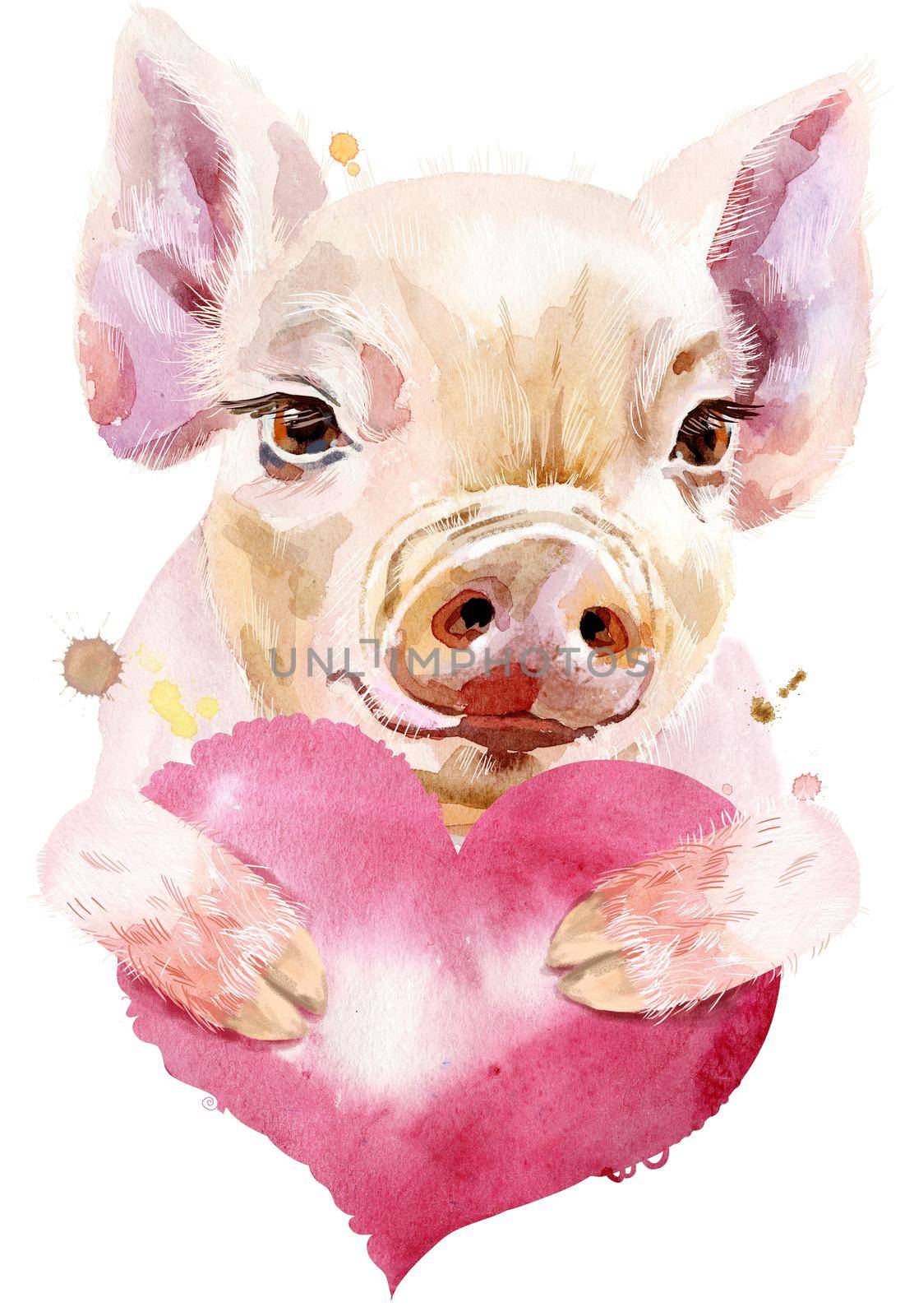 Watercolor portrait of mini pig with pink heart by NataOmsk