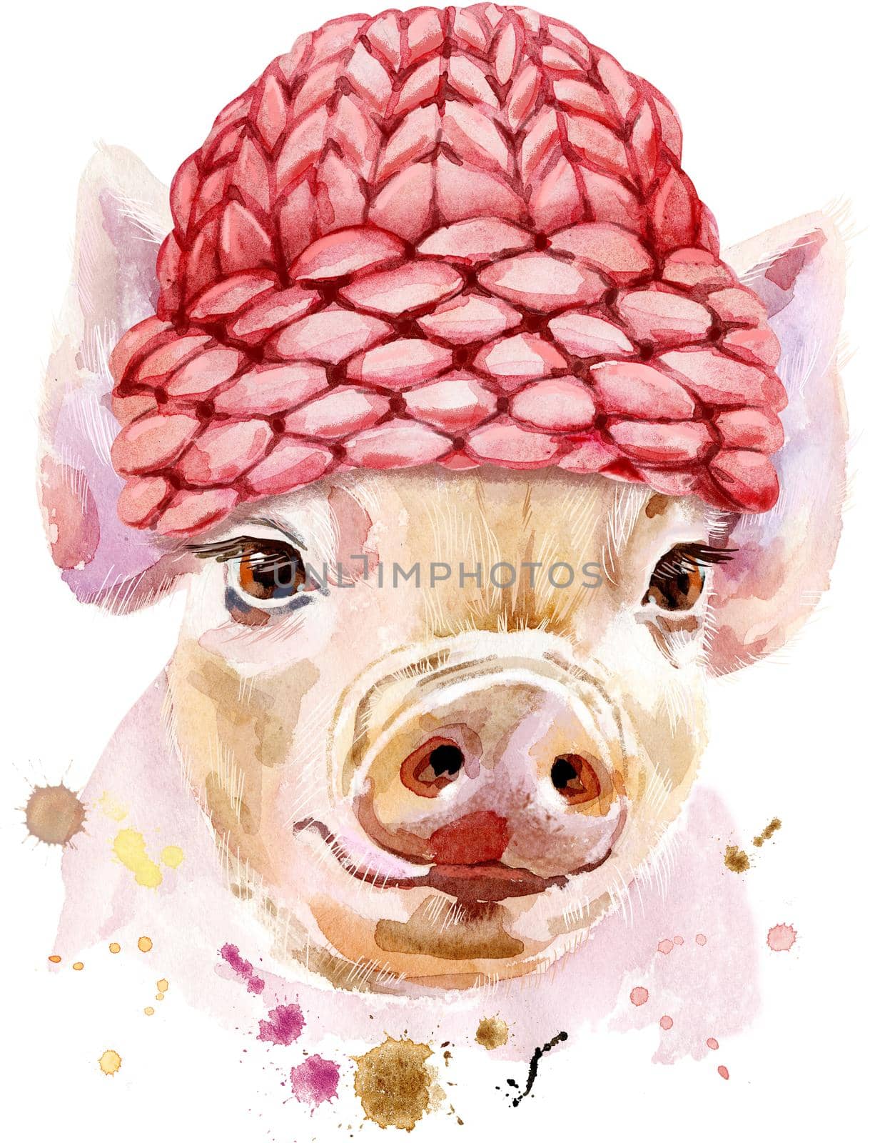 Cute piggy in a knitted hat. Pig for T-shirt graphics. Watercolor pink mini pig illustration