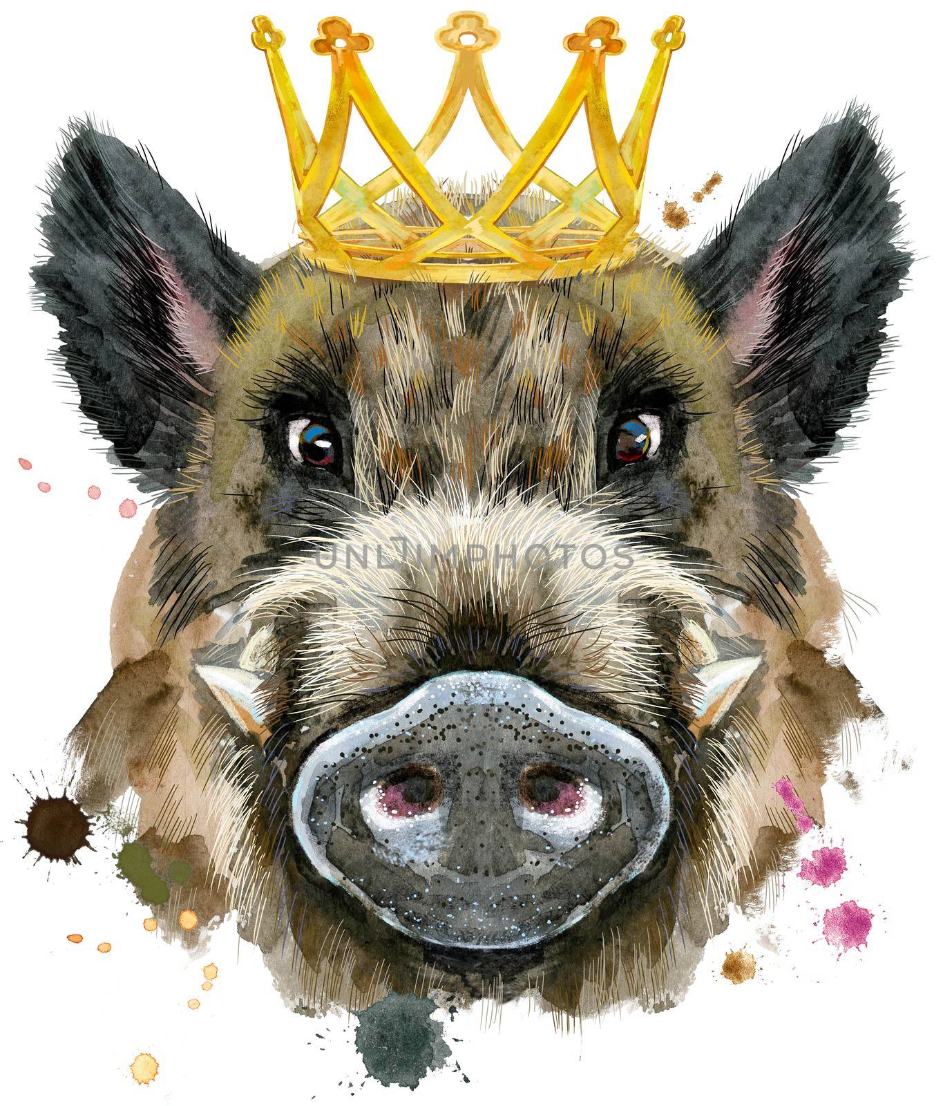 Cute piggy with gold crown. Wild boar for T-shirt graphics. Watercolor brown boar illustration