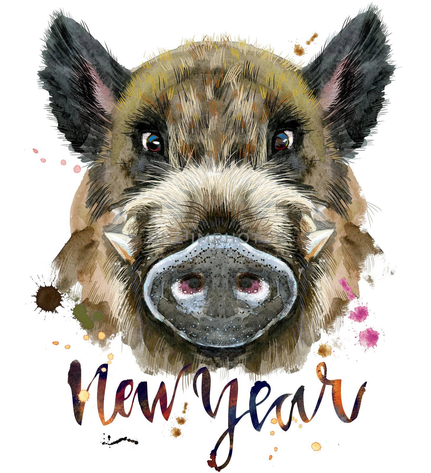 Watercolor portrait of wild boar with the inscription New Year by NataOmsk