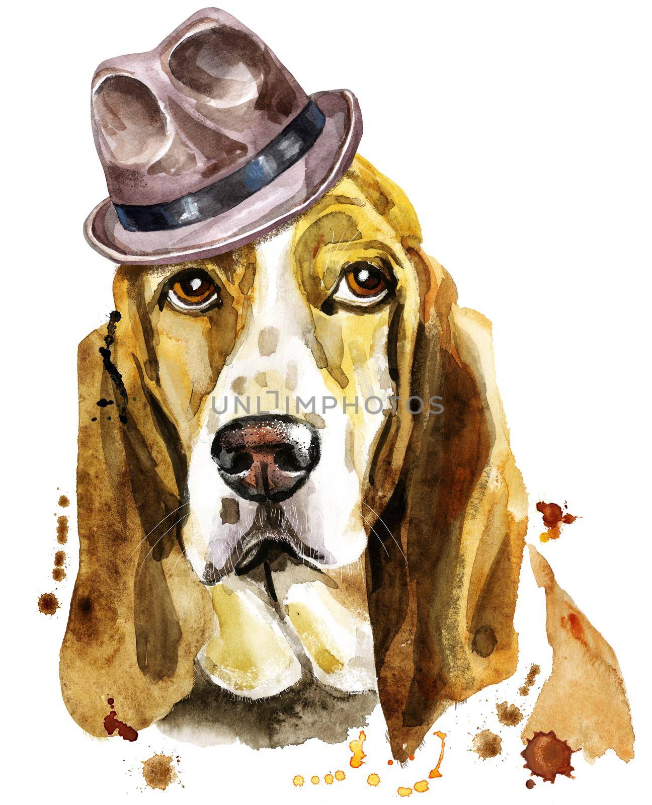 Watercolor portrait of basset hound in a brown hat by NataOmsk