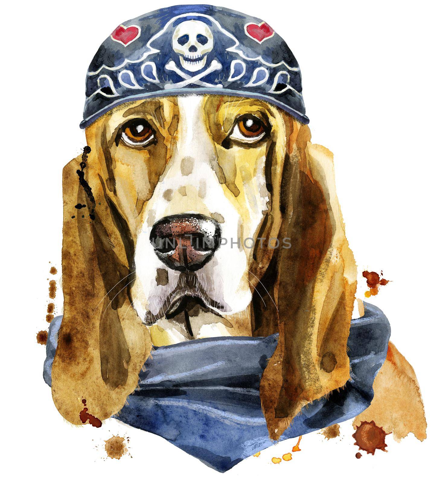 Watercolor portrait of basset hound wearing biker bandana by NataOmsk