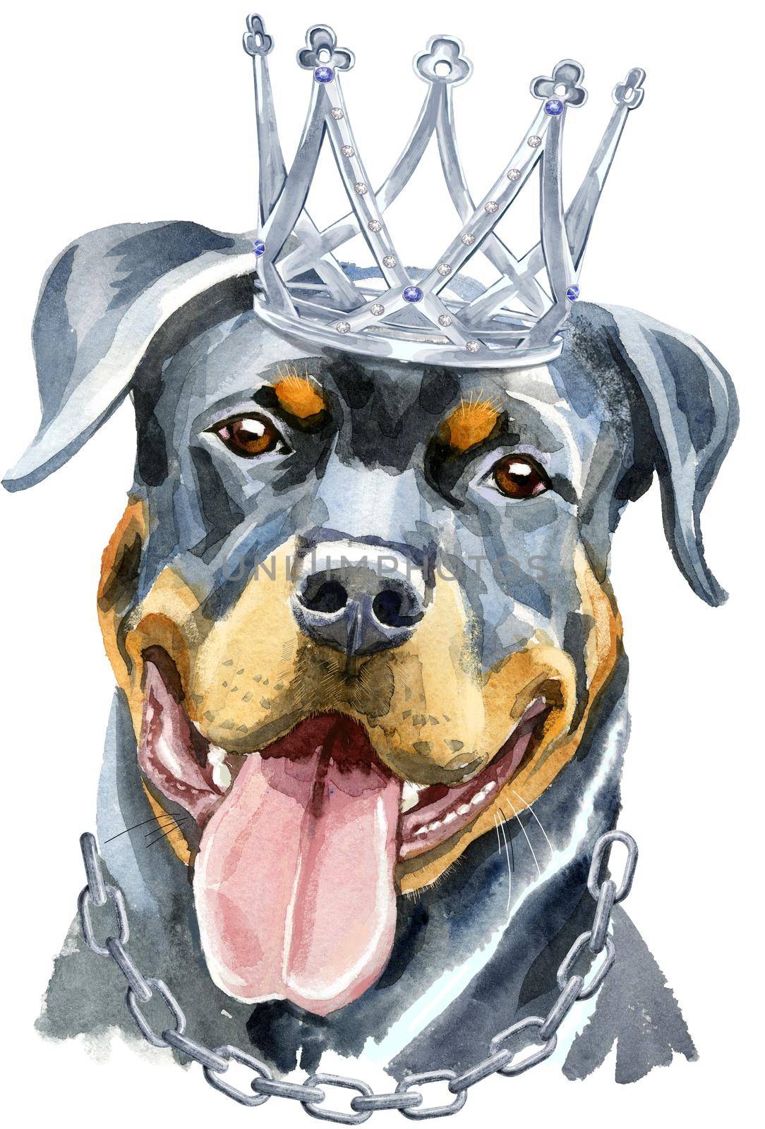 Cute Dog with crown. Dog T-shirt graphics. watercolor rottweiler