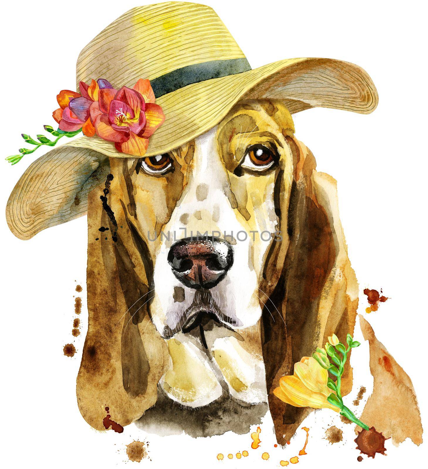 Cute Dog with summer hat. Dog T-shirt graphics. watercolor basset hound