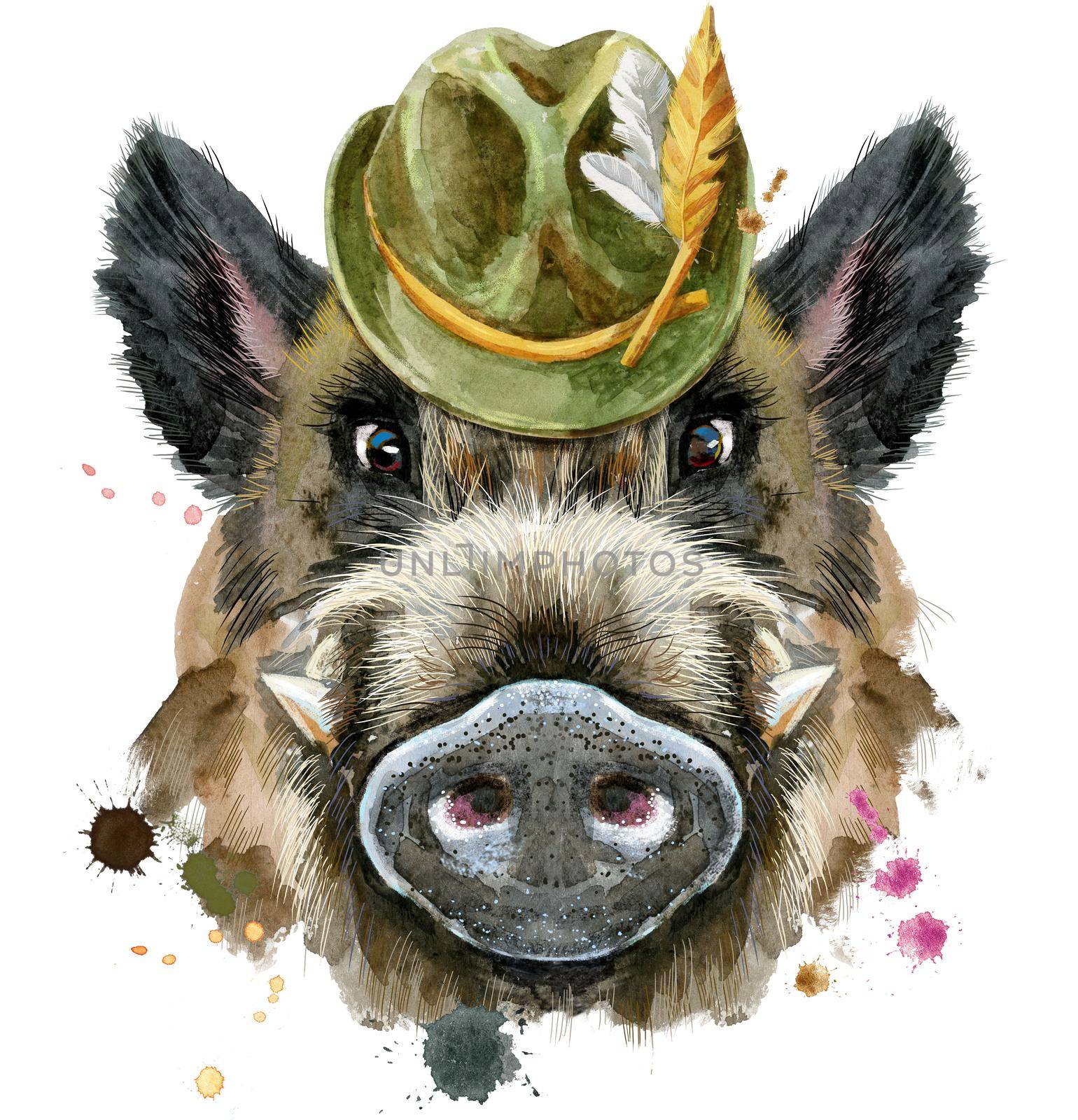 Watercolor portrait of wild boar with green hat by NataOmsk