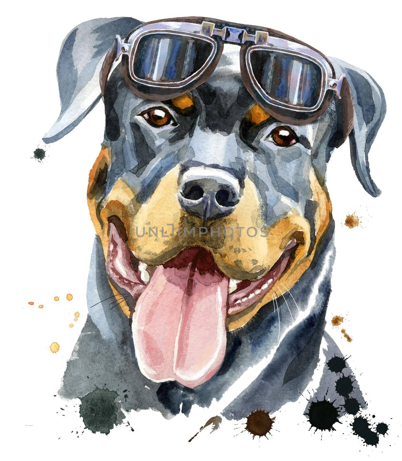 Cute Dog. Dog T-shirt graphics. Watercolor rottweiler with glasses