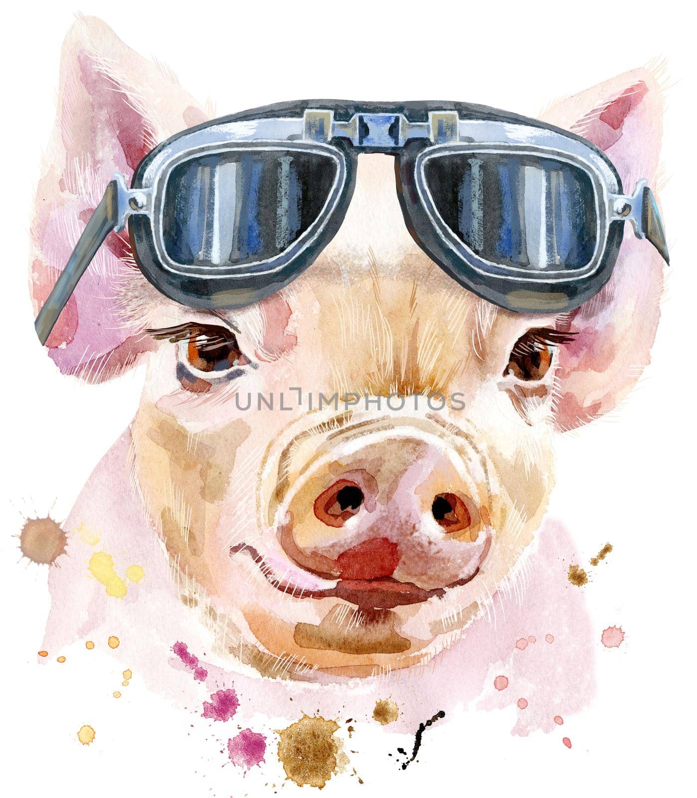 Watercolor portrait of mini pig in biker glasses by NataOmsk