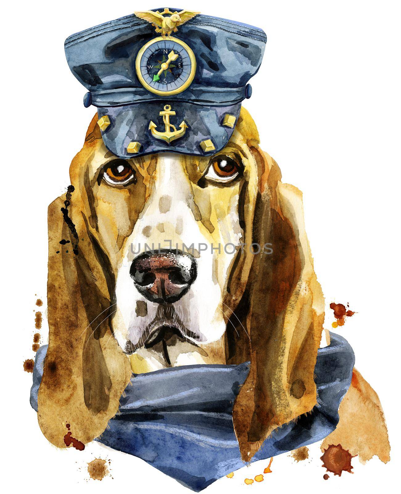 Watercolor portrait of basset hound in a scarf and leather cap by NataOmsk