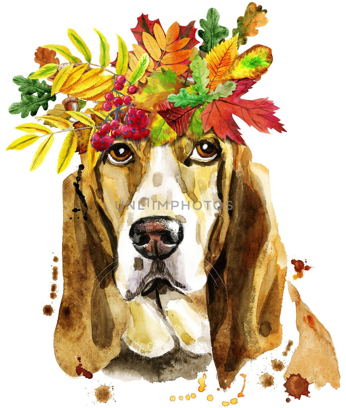 Watercolor portrait of basset hound with wreath of autumn leaves by NataOmsk