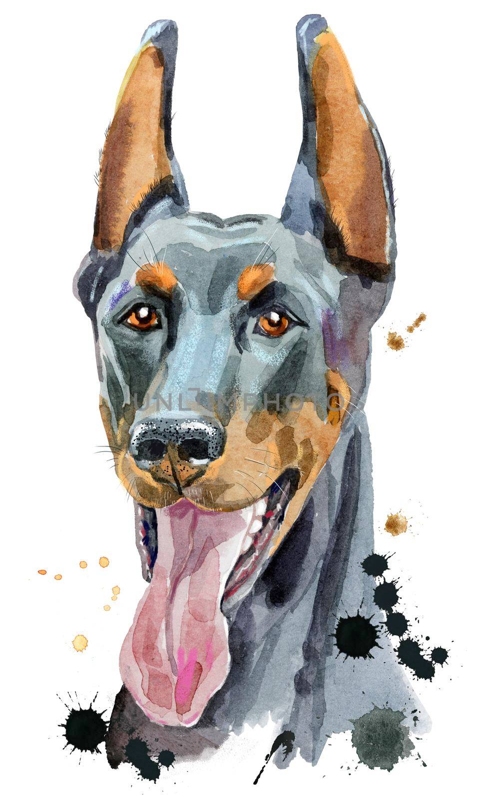 Cute Dog. Dog T-shirt graphics. watercolor doberman illustration