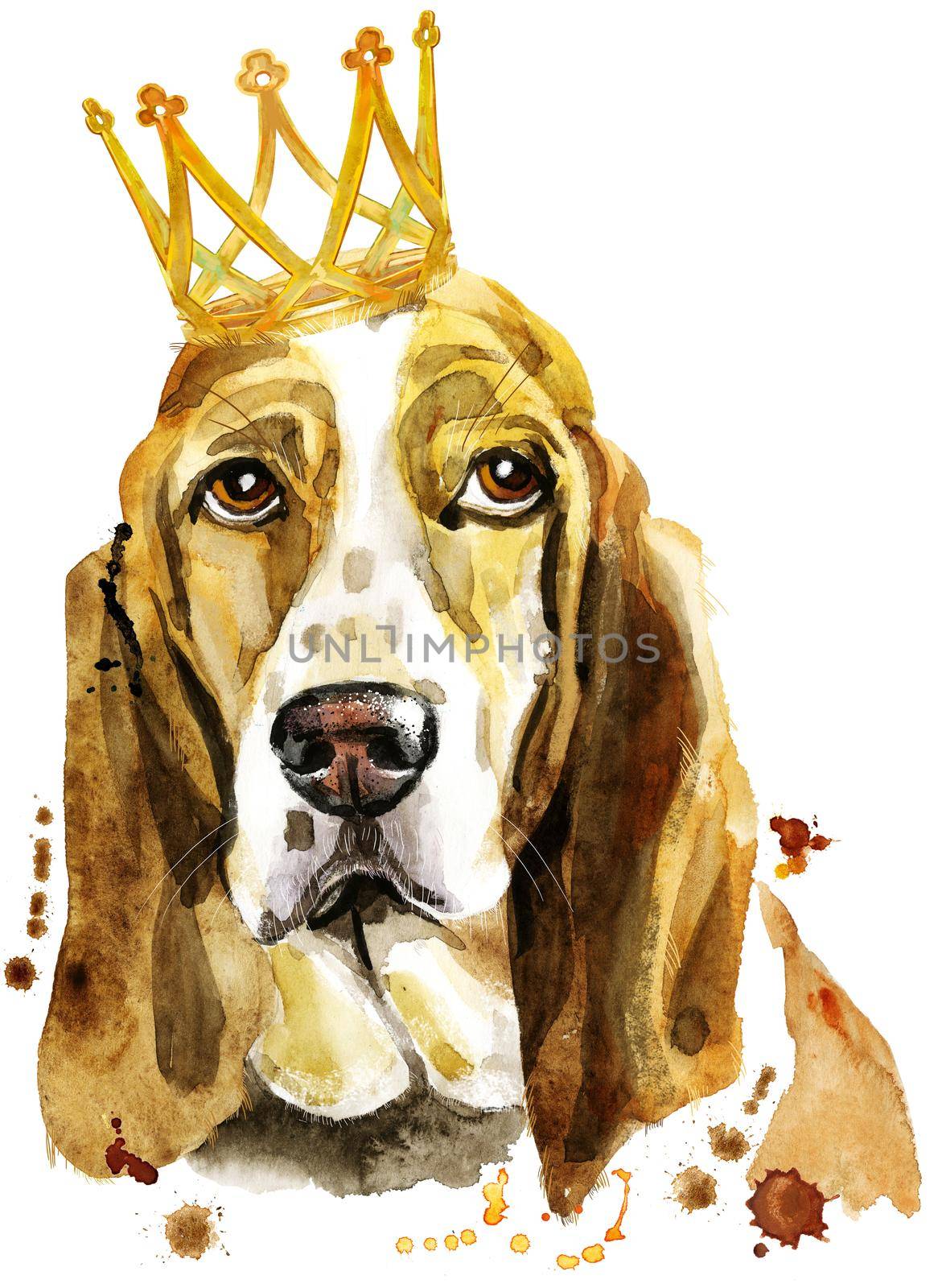 Watercolor portrait of basset hound with crown by NataOmsk