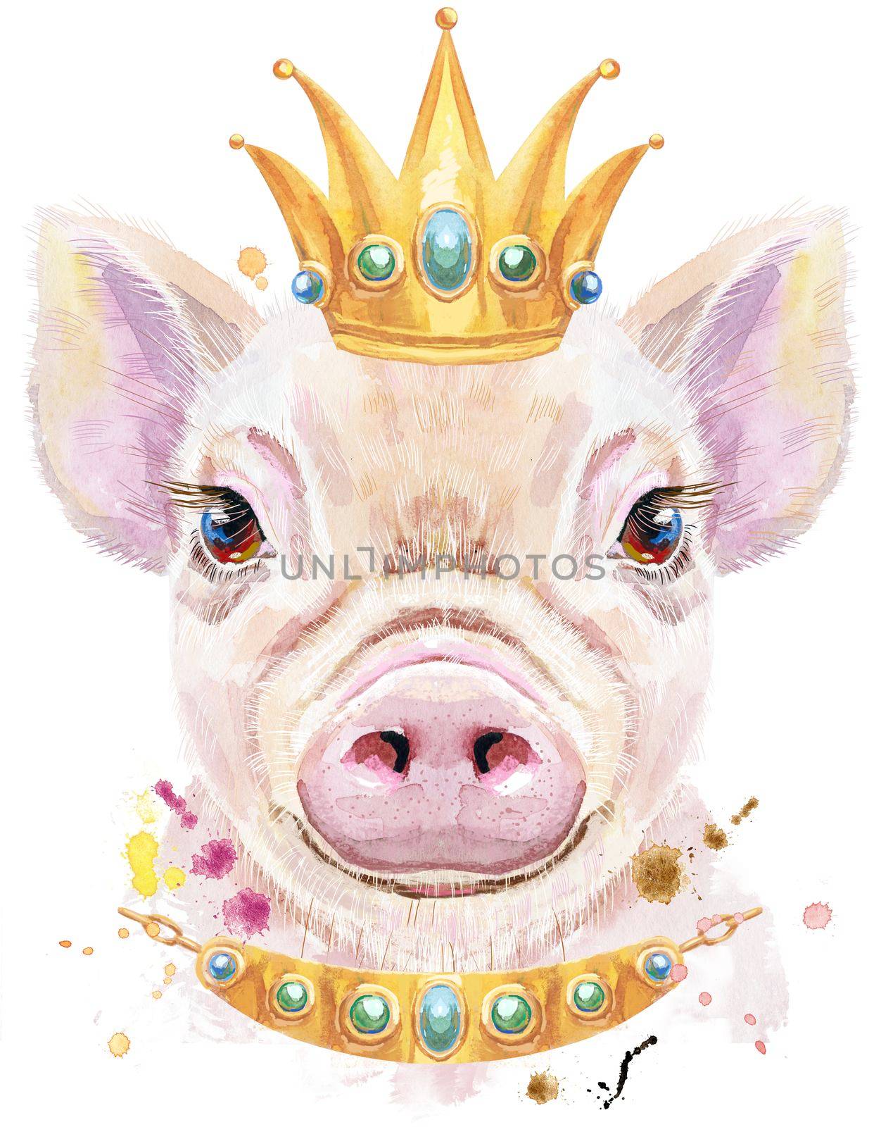 Cute piggy. Pig for T-shirt graphics. Watercolor pink mini pig illustration with crown
