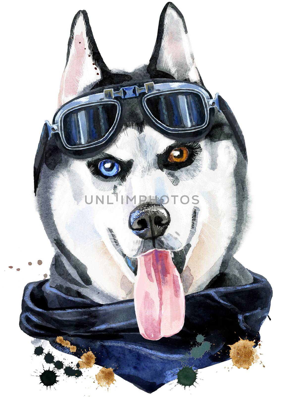 Watercolor portrait of husky with kerchief and glasses by NataOmsk
