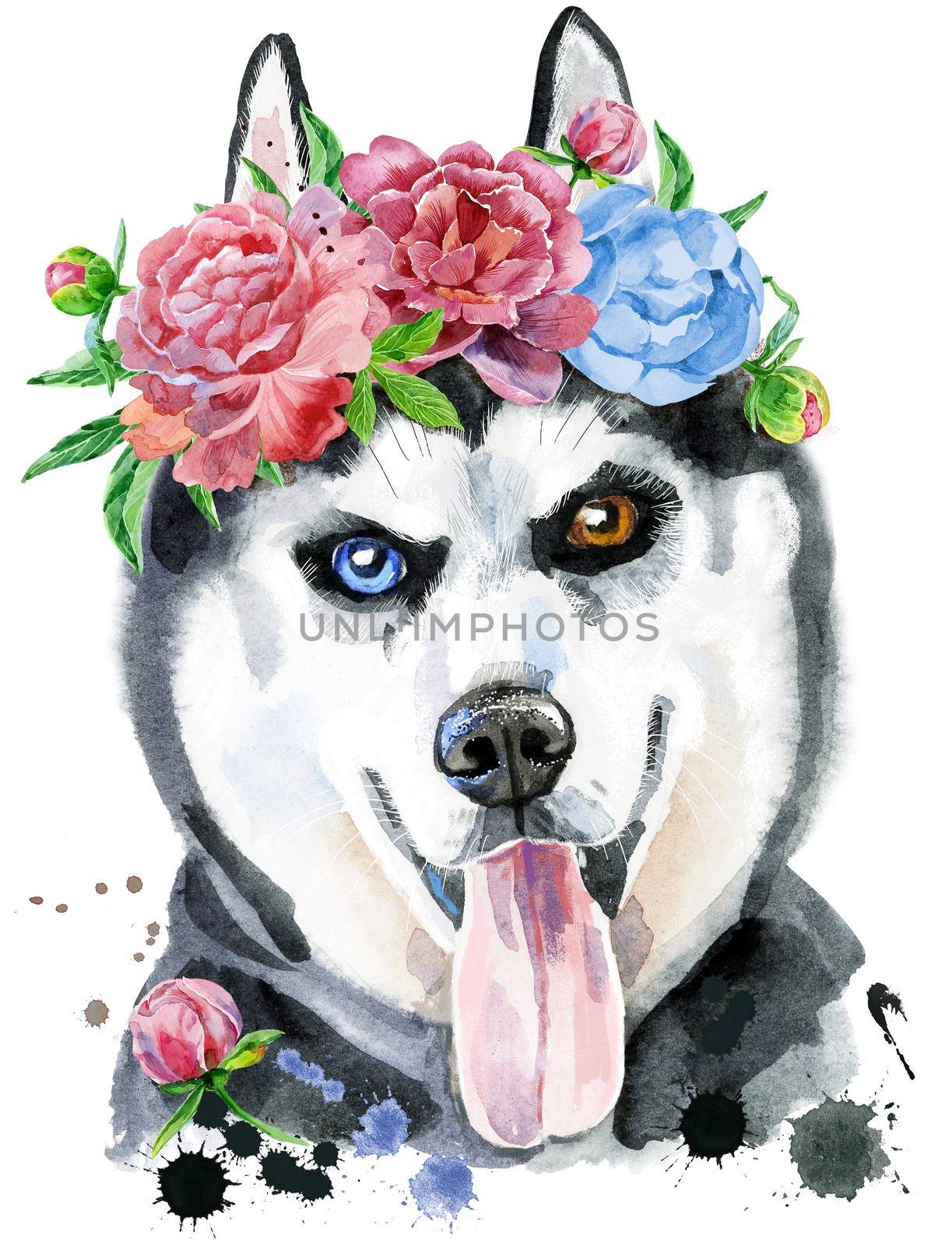 Watercolor portrait of husky with wreath of flowers by NataOmsk