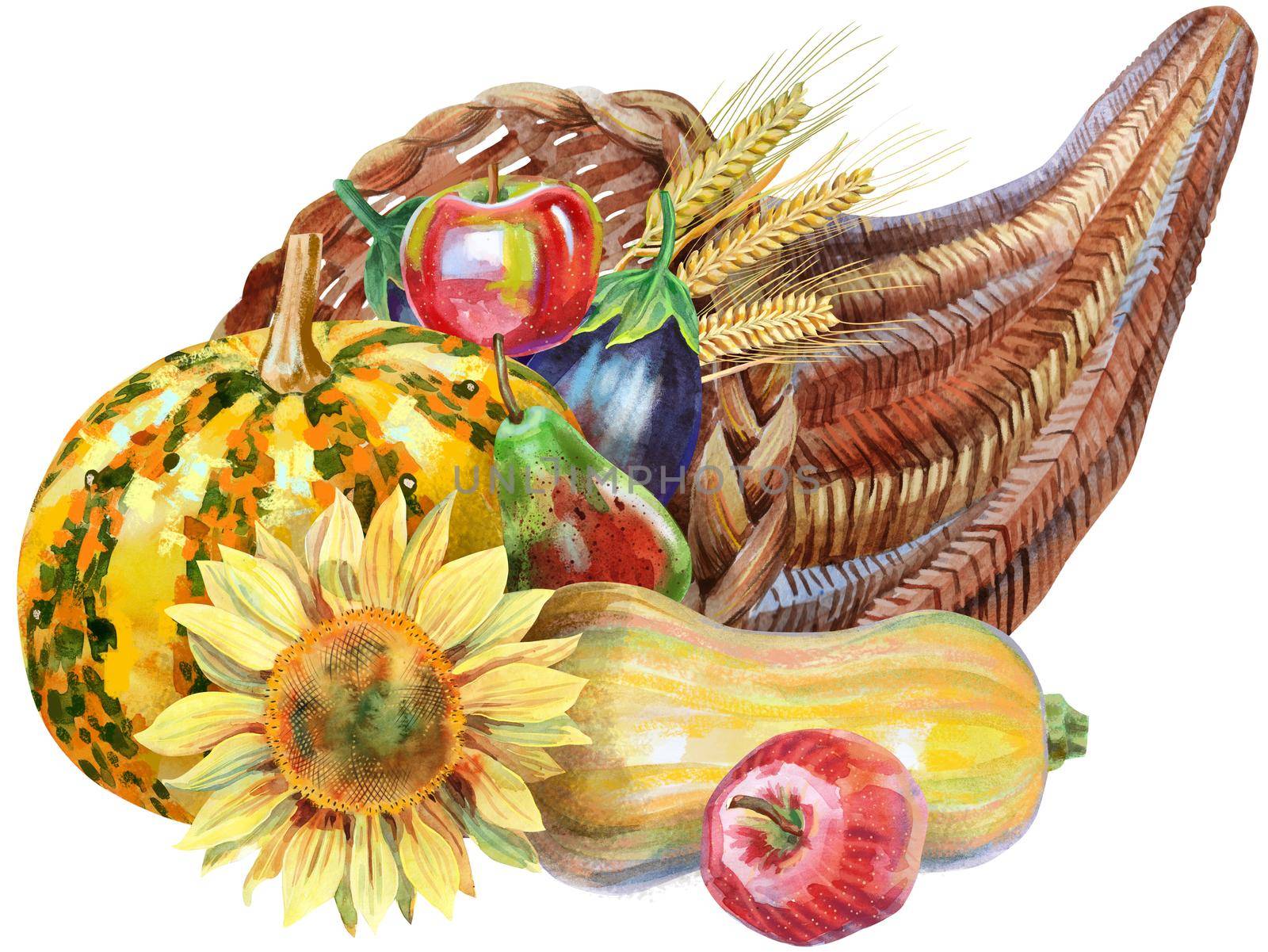 Hand drawn watercolor cornucopia with fall season harvest, pumpkin, sunflower, apple and pears. Food illustration isolated on white background.