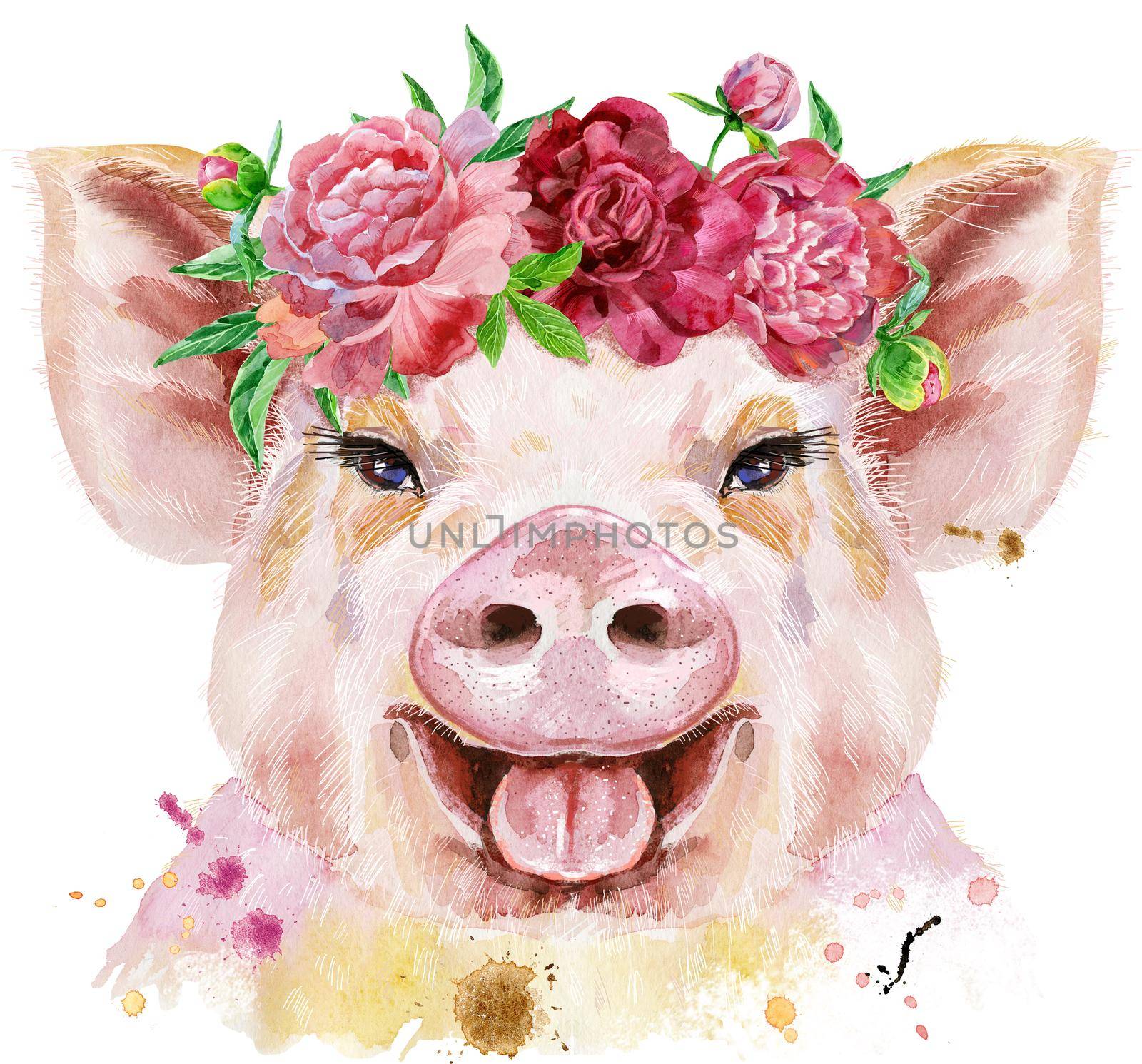 Watercolor portrait of pig by NataOmsk