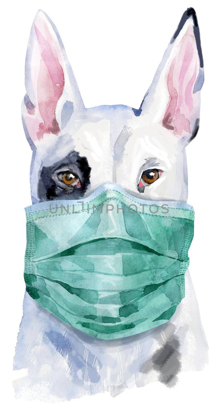 Watercolor portrait of bull terrier in medical mask by NataOmsk