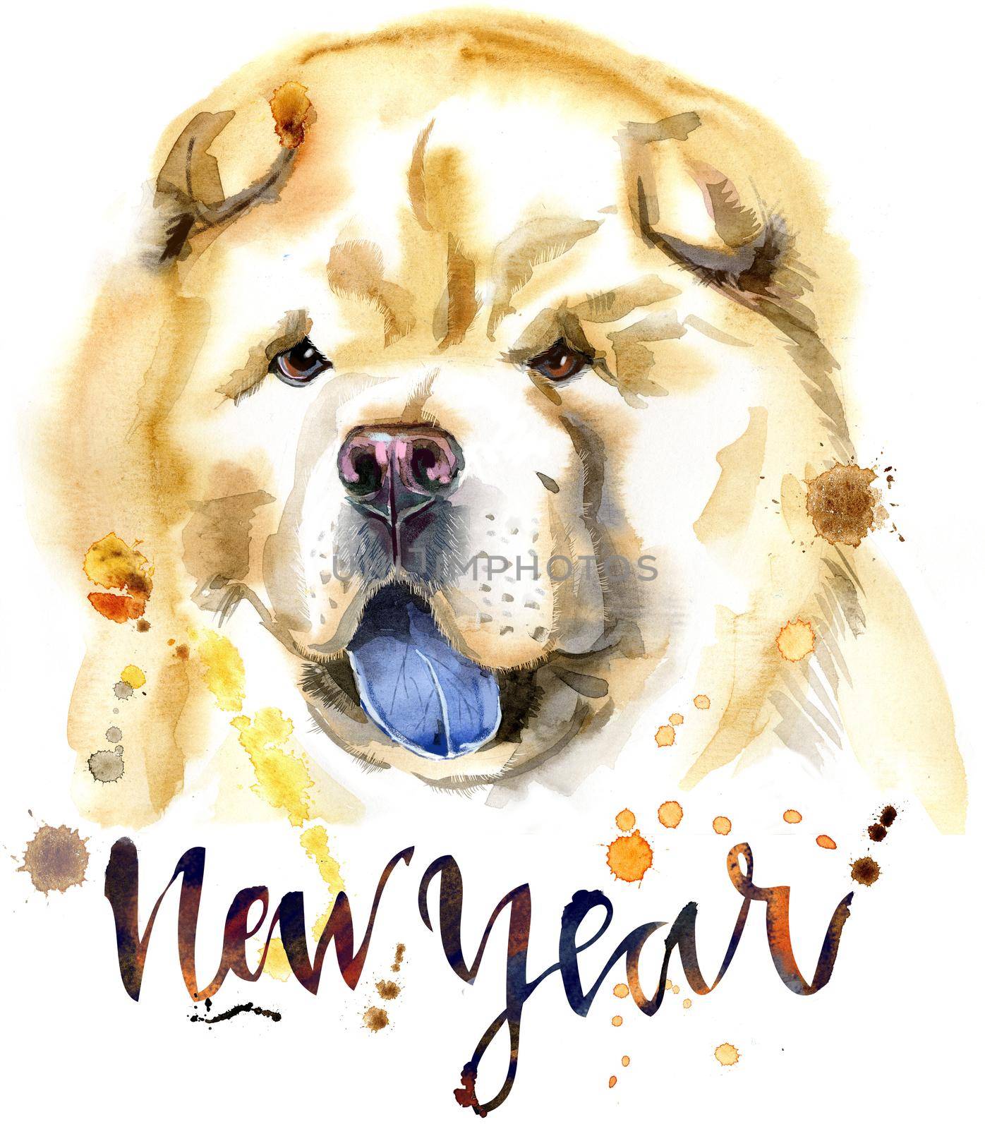 Watercolor portrait of chow-chow dog by NataOmsk