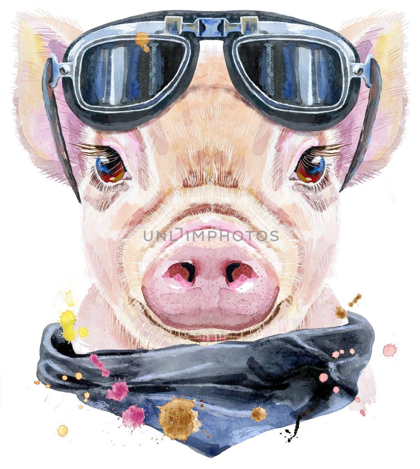 Cute piggy biker sunglasses. Pig for T-shirt graphics. Watercolor pink mini pig illustration