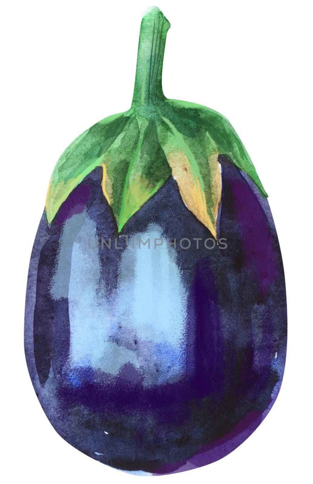 Watercolor illustration of eggplant on white background